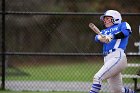 Softball vs Babson  Wheaton College Softball vs Babson College. - Photo by Keith Nordstrom : Wheaton, Softball, Babson, NEWMAC